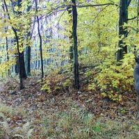 Img 20251212 204840 (3) (1)