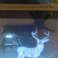 Beautiful 5,100 acres available for whitetails and turkey
