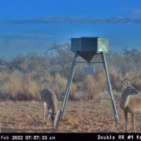 24 acres with great mix of black brush, rolling terrain, & open space.