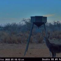 Nice rack buck