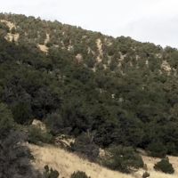Prime Hunting Terrain with easy access