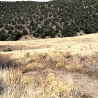 Land pic2