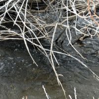 Land pic3