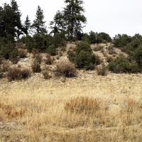 Land pic5