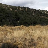 Land pic6