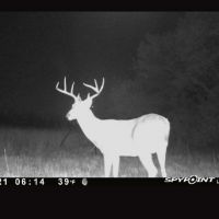 Img 20220114 210921