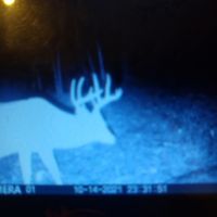 80 Acres Available for Deer and Small Game
