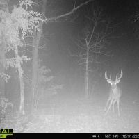 840 acres of prime Oklahoma deer hunting