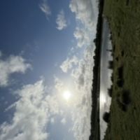 Brazoria Private Ponds Duck Hunting