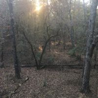 Sleepy Hallow Trophy hunting club