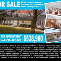 Lake, house & almost 5 acres of private woodland for sale - 1856 Downs Ave, Laurel Springs NJ