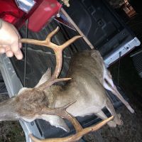 California Creek Hunting Club