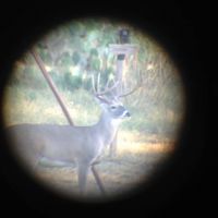 Adventure hunt3