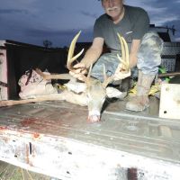 Beals buck