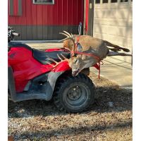 11 pt buck on utv lookout