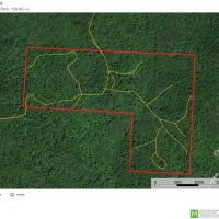 Lookout trails