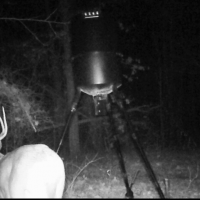 HUNTING LEASE EAST TEXAS