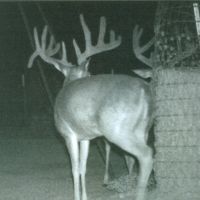 Scan0014