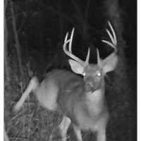 1200 aces in north east Missouri