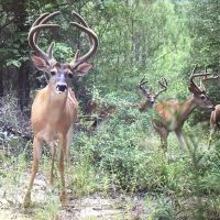 BWC family friendly management minded hunters that enjoy the outdoors
