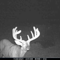 Wildlife Sanctuary Hunting Lease- Lake Ray Roberts Cooke County