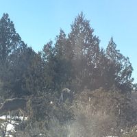 8dbf3004-57d9-497d-8397-a37139079b1b