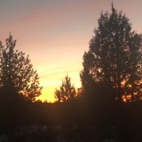 E811735d-6c1b-4ef8-9e6c-15d56eba0901