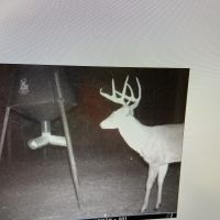 Worth county 100