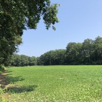 Farm3