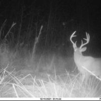 South Alabama Hunting Lease