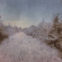 Beautiful 40 acres of hunting land…Deer , wild boar and other small animals