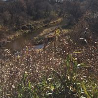 100 Acres of prime land in Ortonville MN surrounded by Big stone National Wildlife Refuge.