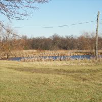 Pond100 1789