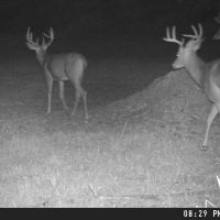 Michigan dream deer camp