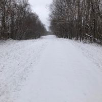 Img 1643