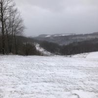 Img 1645