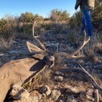 2900 Acres in Trans-Pecos Region