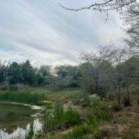 95 acres of timber with creek running through