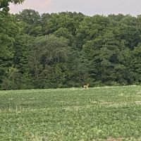 Img-0862