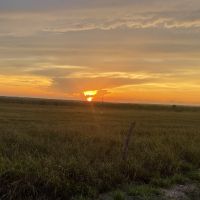 Starr County Whitetails