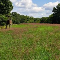 894 acres timbered with lots of food plots, spring fed creeks and river frontage.