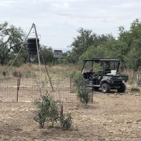 Deer feeder (east) with blind in background-2