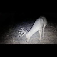 90 acres grayson county ky fields ,woods and a large lake