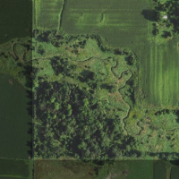 35 Acres Hunting Land Dunn County