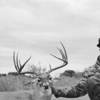 1,000 acres of rolling mesquite and oaks. Located in southern Jack CO.