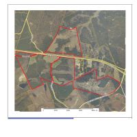 600 Acre Lease near I-20 with planted pines, hardwoods, and open fields