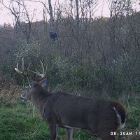 25 acres of woods with creek and farm land  bordering