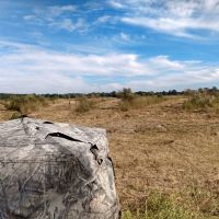Img 20221009 160301700 hdr