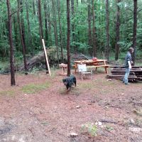 Deer Hunting Lease Huntsville