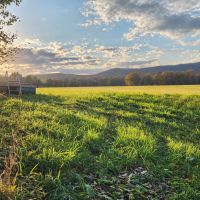 171 ac Hunting Lease in Upstate NY, Washington Co.
